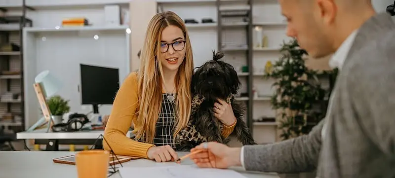 Top tips for creating a dog friendly office