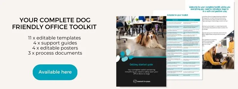 Top tips for creating a dog friendly office