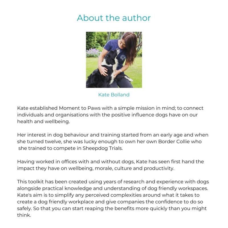 Dog friendly office toolkit - Image 6