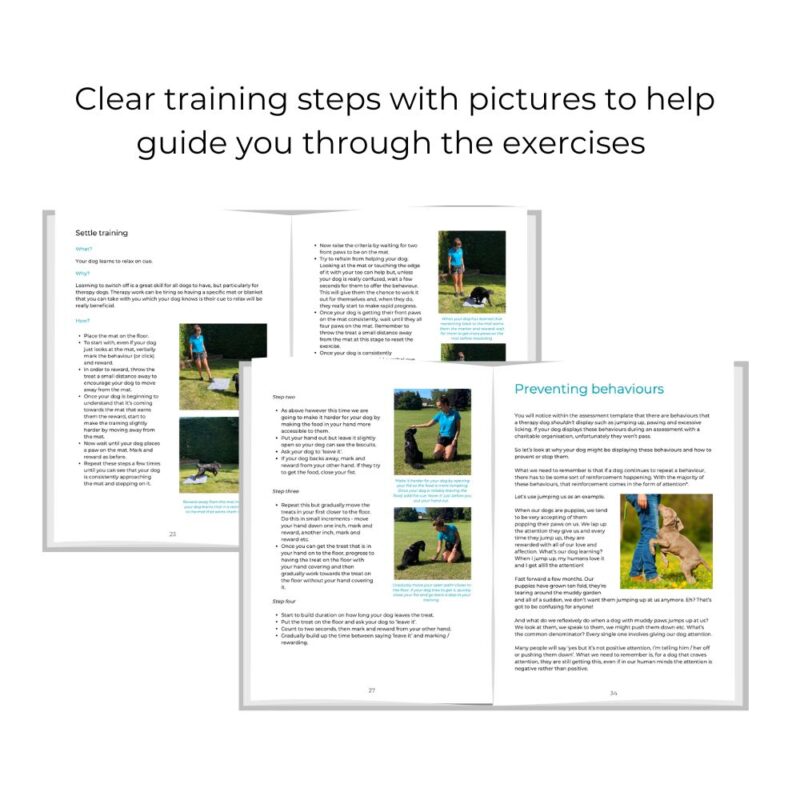 Guide to dog therapy in the UK & training workbook bundle - Image 4