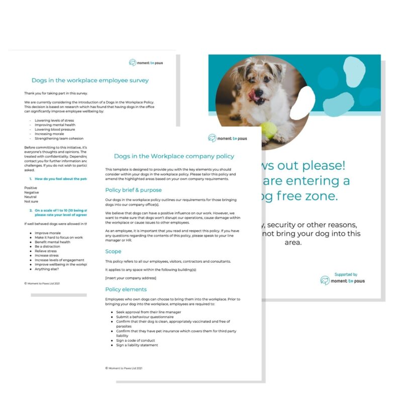 Dog friendly office toolkit - Image 2