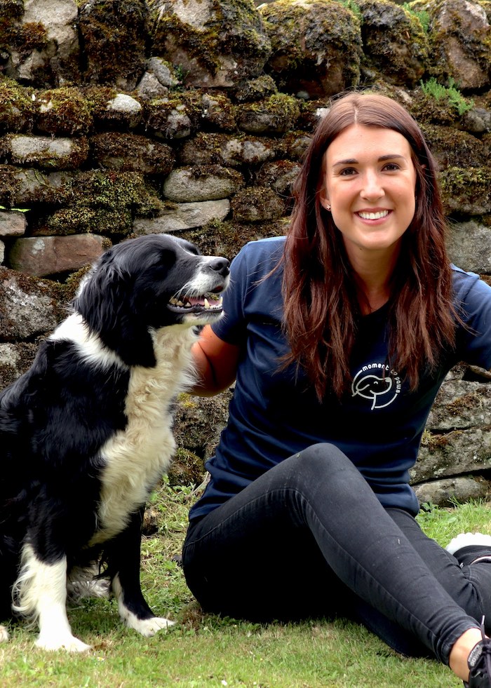Top rated dog training near best sale me