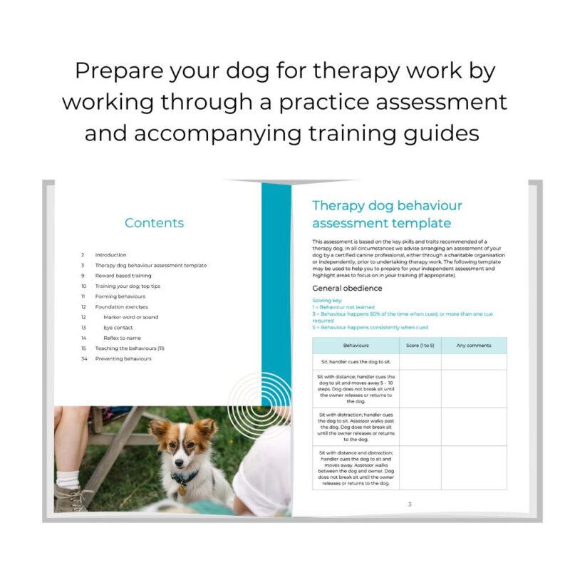 Guide to dog therapy in the UK & training workbook bundle - Image 3