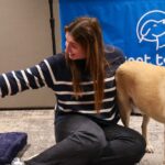 Dog therapy event