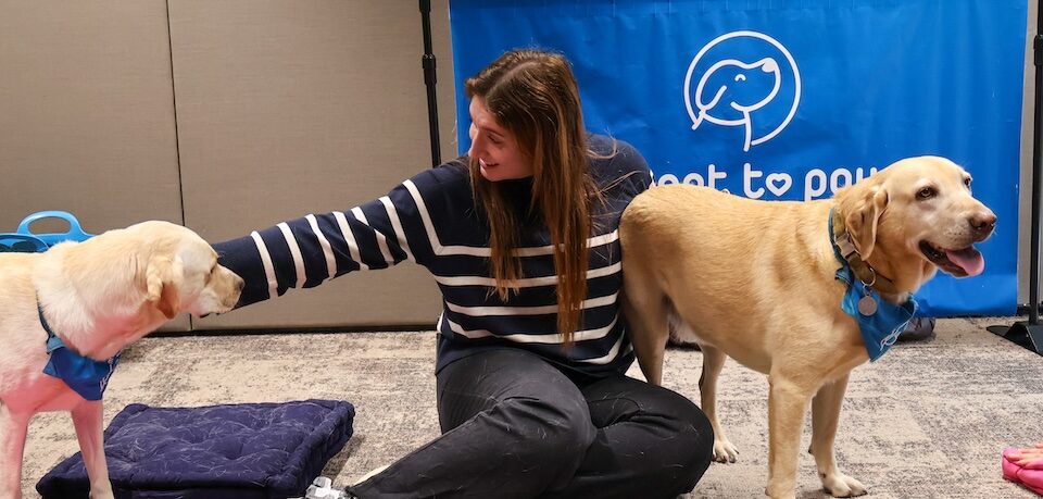 Dog therapy event