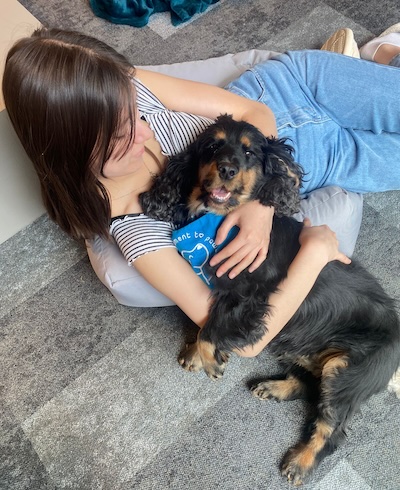 Therapy Dog being cuddled