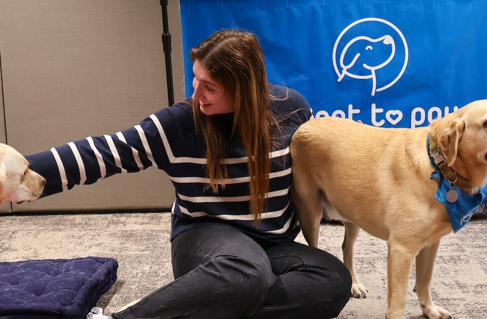 Staff member with therapy dogs