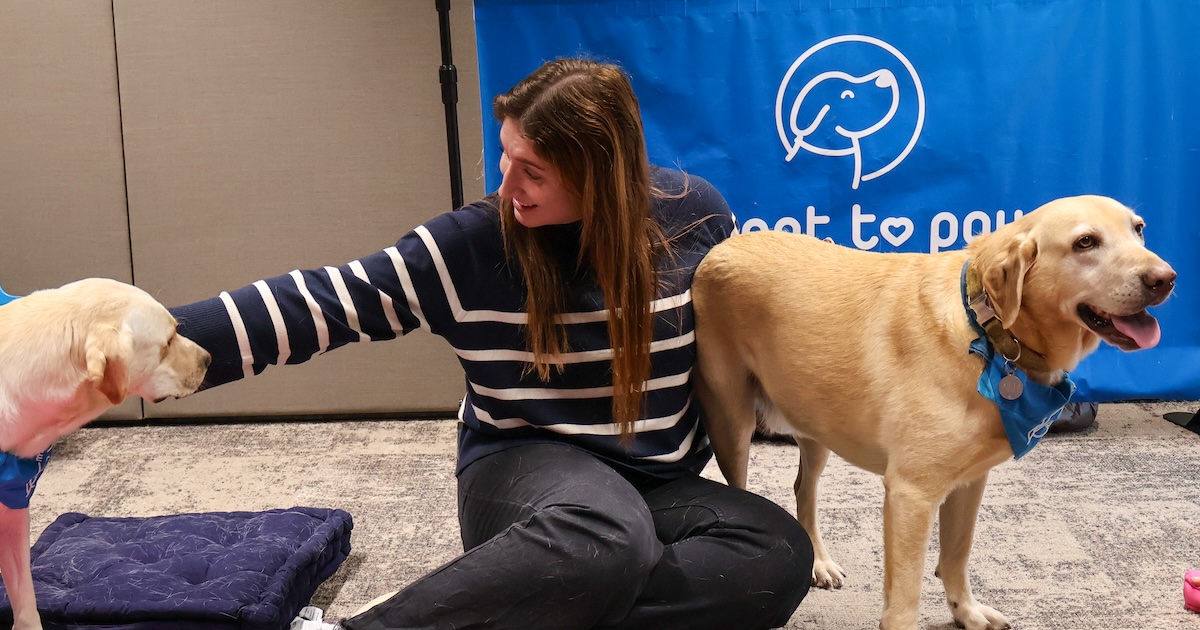 Staff member with therapy dogs
