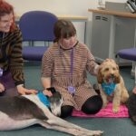 Staff members cuddling therapy dogs at Leeds Business School event by Moment to Paws