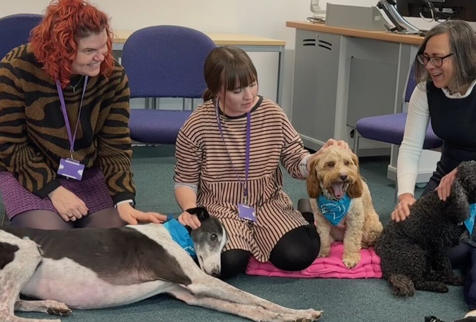 Staff members cuddling therapy dogs at Leeds Business School event by Moment to Paws