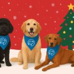 Christmas dog therapy workplace wellbeing