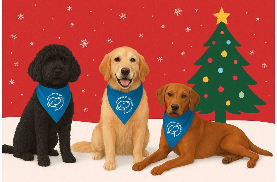 Christmas dog therapy workplace wellbeing