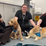 Workplace dog therapy event