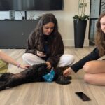 Corporate dog therapy in Manchester MAPP