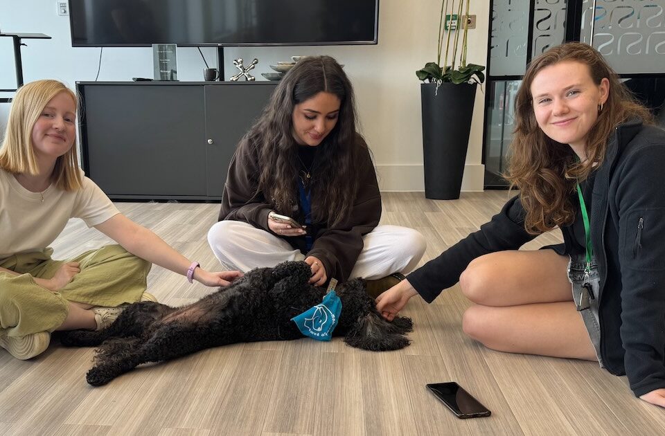 Corporate dog therapy in Manchester MAPP