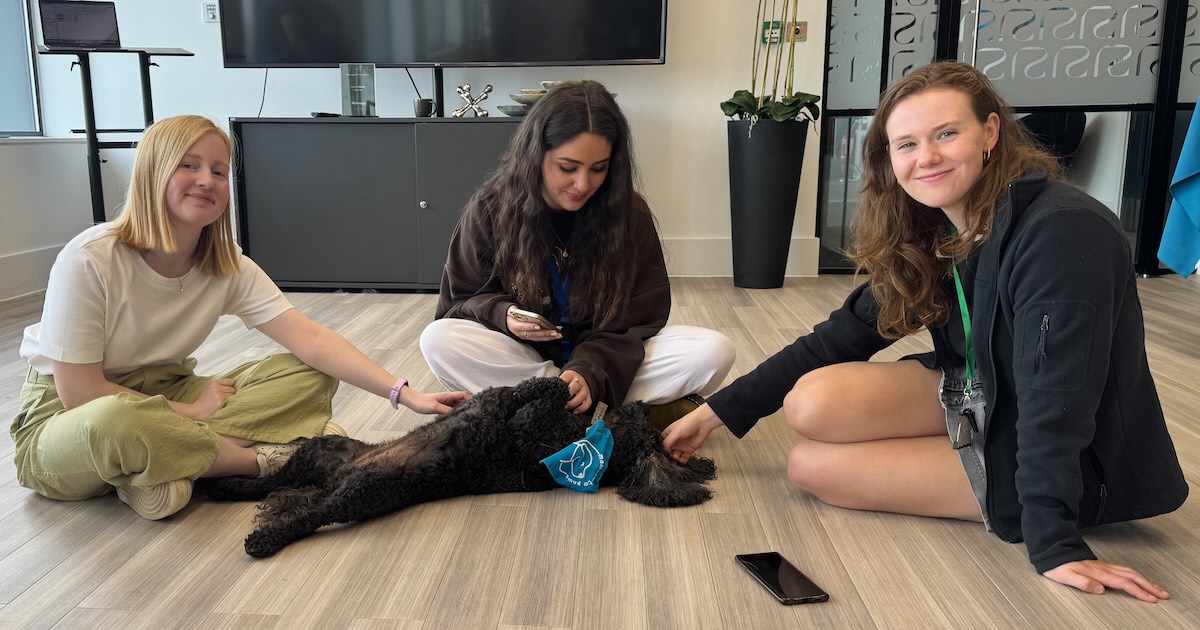 Corporate Dog Therapy in Manchester A Case Study at City Tower
