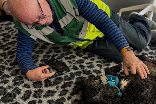 Therapy Dogs at IKEA