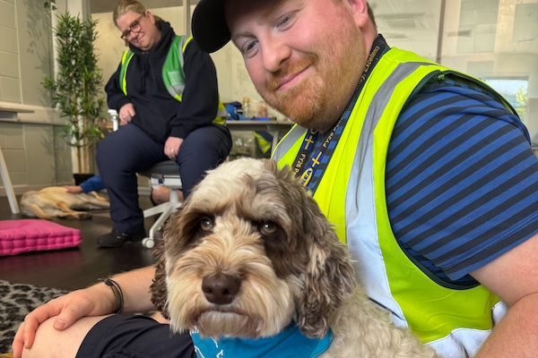Therapy Dogs at IKEA