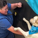 Therapy Dogs Visit IKEA Doncaster