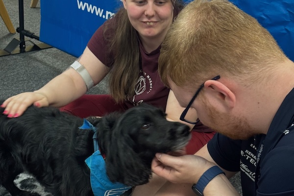Therapy dog Opie at Amazon