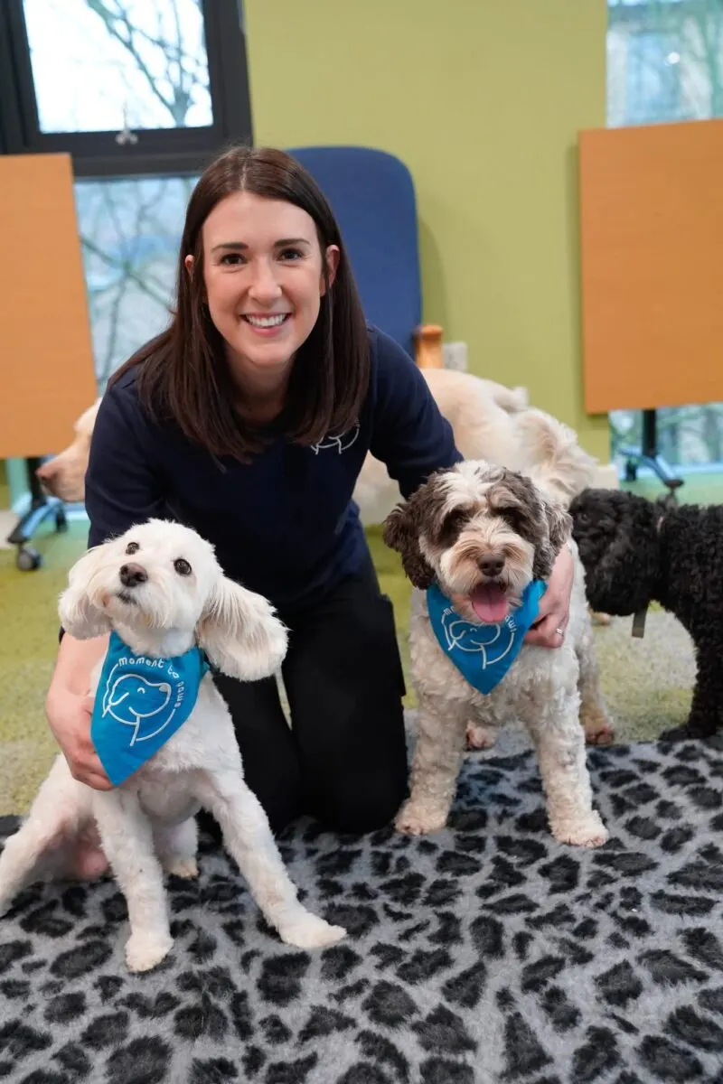 Kate kneeling with two therapy dogs wearing Moment to Paws bandanas