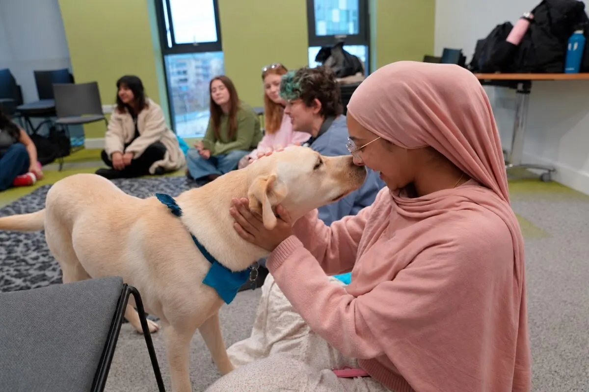 A student greeting a calm therapy dog nose to nose during a Moment to Paws university session